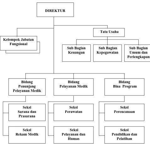 Gambar. 4.1. Struktur Organisasi Rumah Sakit Umum Kabanjahe 
