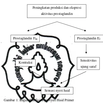 Gambar 1: Bagan Patofisiologi Nyeri Haid Primer 