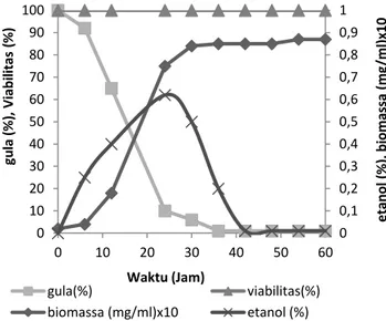 Gambar  3.  Pola  pertumbuhan  dan  produksi  etanol  pada proses fermentasi menggunakan S