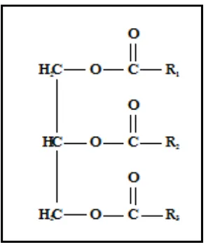 Gambar 2. Molekul Trigliserida 