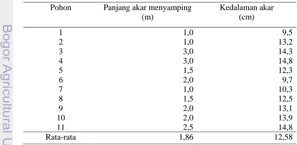 Tabel 3  Panjang dan kedalaman perakaran horizontal pohon mahoni tua  Pohon  Panjang akar menyamping 
