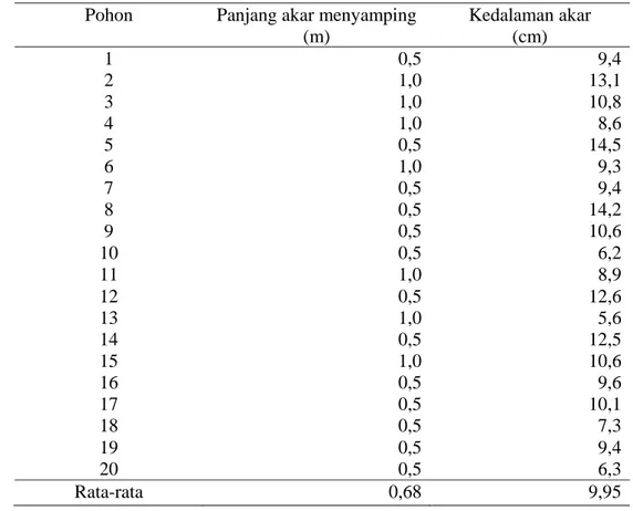 Tabel 4  Panjang dan kedalaman perakaran horizontal pohon mahoni muda  Pohon  Panjang akar menyamping  