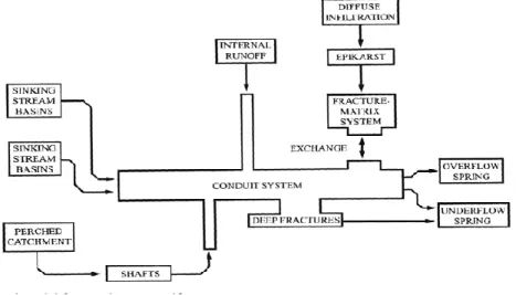 Gambar 1.4 Sistem aliran airtanah pada akuifer karst. (White,1988)  