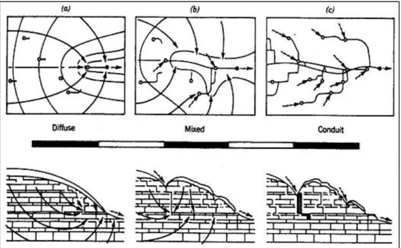 Gambar 1.5  Tipe aliran akuifer karst (Ford,1992)  Tabel 1.1 Tipe Porositas dan Karakteristik Akuifer Karst 