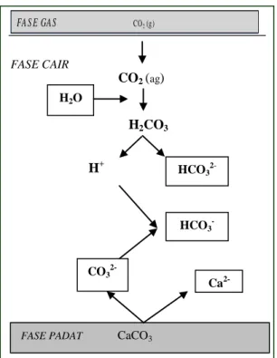 Gambar 1.2  Proses pembentukan batuan karbonat (Trudgil,1985  ) 