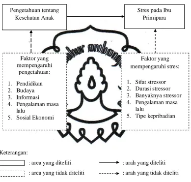 Gambar 1. Kerangka Konsep Penelitian 