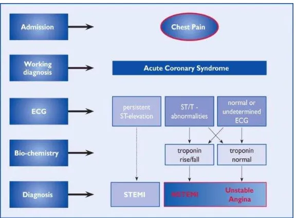 Gambar 5. Spektrum ACS Berdasarkan EKG dan Biomarker Jantung40 