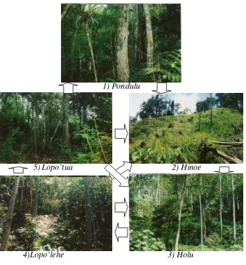 Gambar 7 Bentuk anak petak contoh untuk analisis vegetasi tingkat pohon/tiang, pancang, semai dan tumbuhan bawah pada setiap petak contoh