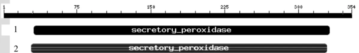 Gambar 5 Perbandingan daerah domain asam amino terkonservasi antara (1) PerL dan (2) Per 