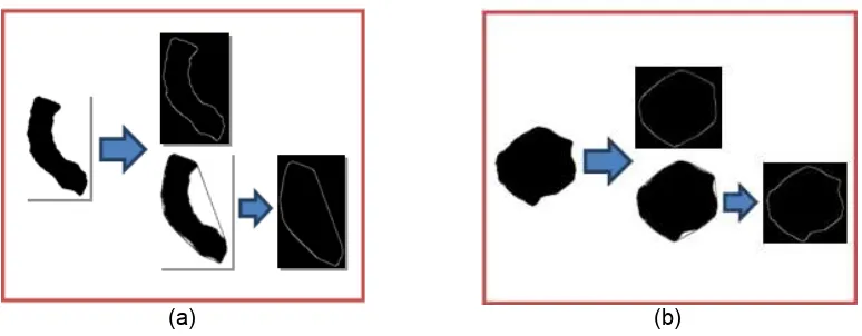 Figure 7. Calculation morphological features (a) Leaf spot disease (b) Leaf blight disease  