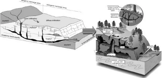 Gambar 1. Ilustrasi Sistem Hidrologi Karst (Goldscheider, 2010) 