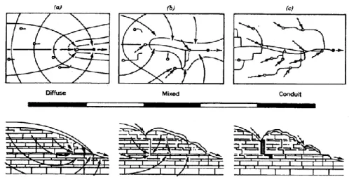 Gambar 1.3. Sistem Infiltrasi di Kawasan Karst  (Domenico and  Schwartz, 1990) 