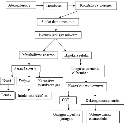 Gambar 2. Patofisiologi infark miokard akut