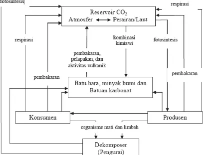 Gambar 1.5. Siklus Karbon di Permukaan Bumi  Sumber : Effendi, 2003 