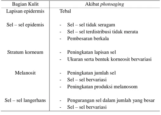 Tabel 2.1 Perubahan Histologis Epidermis Akibat Photoaging   