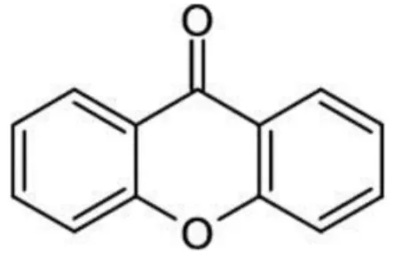 Gambar 2.7 Struktur Umum Xanton (Obot et al, 2011)  2.6.4.2   Flavonoid   