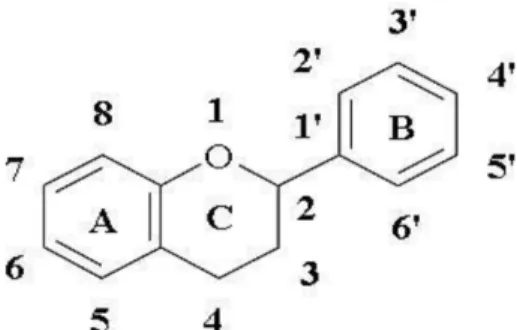 Gambar 2.8 Struktur Umum Flavonoid (Poeloengan et al, 2010)  2.6.4.3   Tannin 