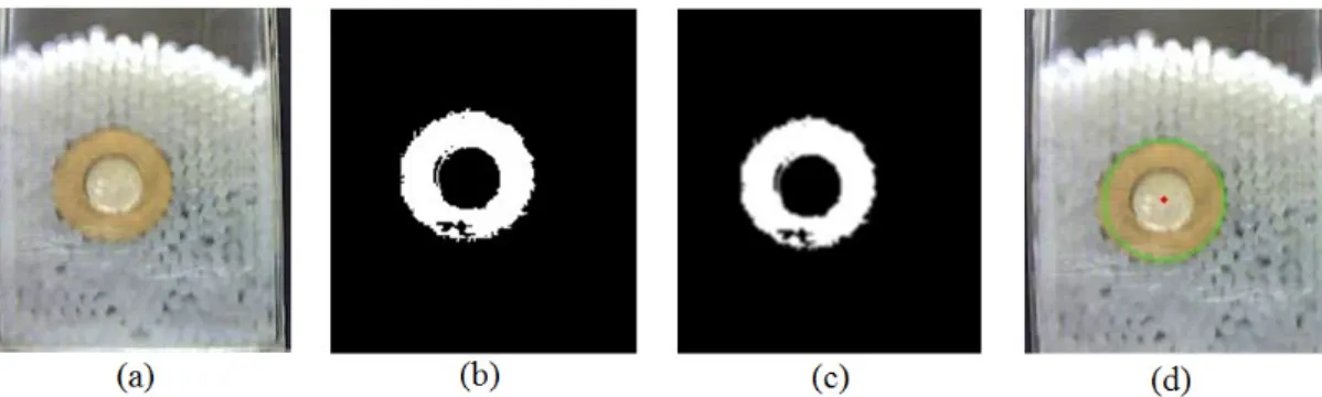Gambar  2.  Suatu  snaphot  frame  video  hasil  observasi  sebelum  dan  setelah  diolah  dengan  menggunakan  pustaka  OpenCV:  (a)  citra  original,  (b)  citra  setelah  dikonversi  ke  B/W  dengan  suatu  nilai  treshold  tertentu,  (c)  citra  setela