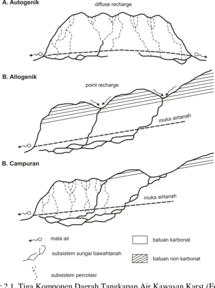 Gambar 2.1. Tiga Komponen Daerah Tangkapan Air Kawasan Karst (Ford dan   Williams, 2007) 