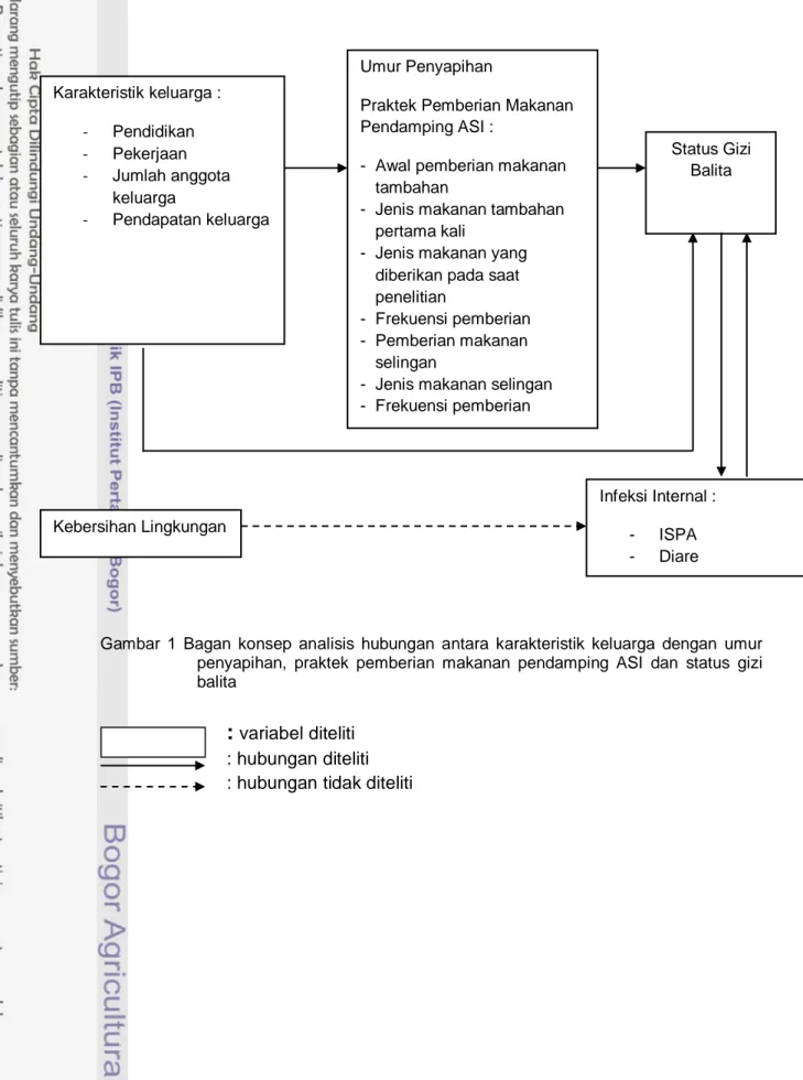 Gambar  1  Bagan  konsep  analisis  hubungan  antara  karakteristik  keluarga  dengan  umur  penyapihan,  praktek  pemberian  makanan  pendamping  ASI  dan  status  gizi  balita  