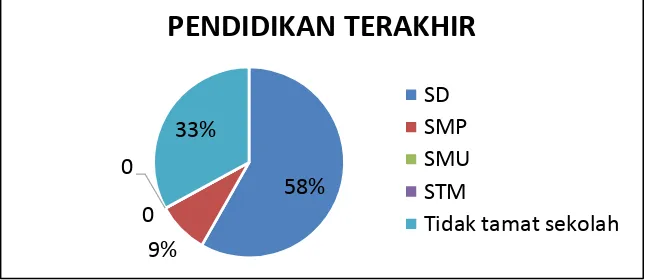 Gambar 5. Diagram pendidikan terakhir tukang dan laden wilayah DKI Jakarta 