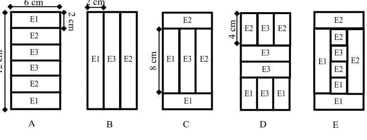 Gambar 1.  Susunan lamina berdasarkan ukuran lebar dan MOE pada penampang balok laminasi 