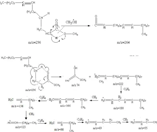 Gambar 5. Usulan Pola Fragmentasi 9-Octadecenoic acid, methyl ester  Sumber: Pradana dkk., 2014 