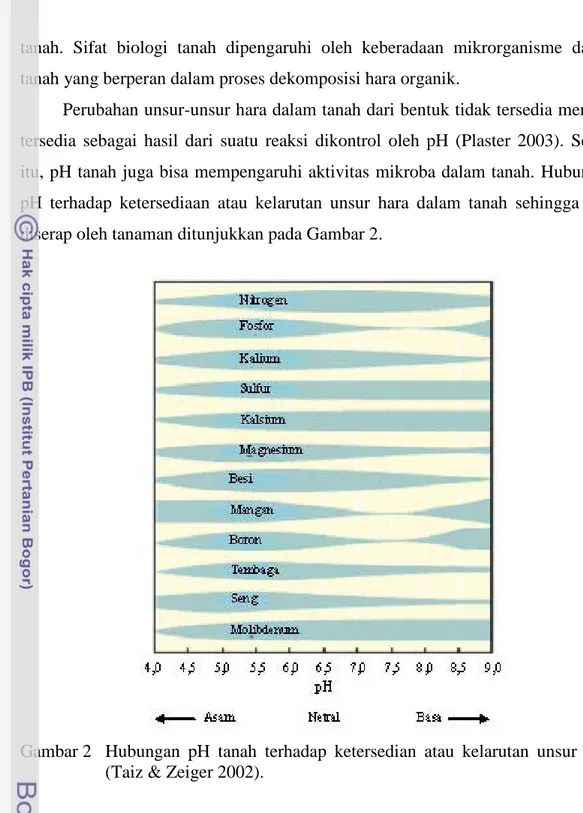 Gambar 2   Hubungan  pH tanah terhadap ketersedian atau kelarutan  unsur  hara  (Taiz &amp; Zeiger 2002)