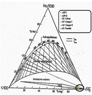 Gambar 4. Diagram tennary geoindikator  Na-K–Mg  