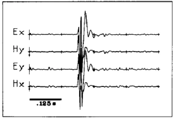 Gambar 7. Contoh noise yang koheren (Fontes, et al., 1988) 