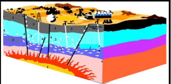 Gambar 1. Model sistem panas bumi secara umum (dimodifikasi dari geothermal figure                    google 18 Agustus 2010), (1) sumber panas, (2) reservoar, (3) lapisan penutup,                   (4) patahan, (5) daerah resapan  (recharge area) (google 