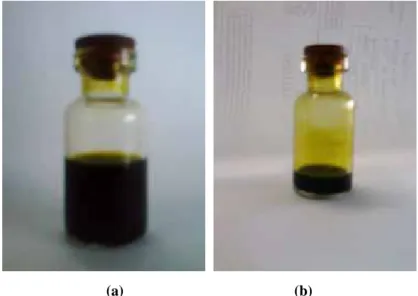 Gambar 3.7 Hidrokarbon (a) Hasil Distilasi (b) Hasil Penguapan Pada Suhu Ruang 