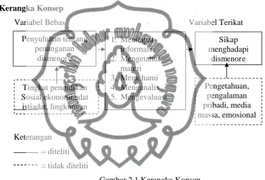 Gambar 2.1 Kerangka Konsep 