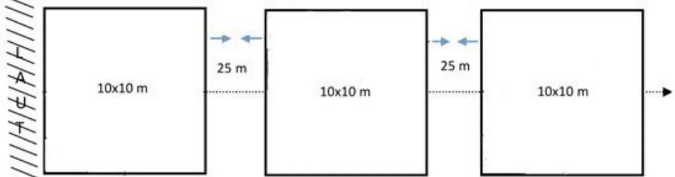 Gambar 2  Desain plot pengamatan kombinasi metode jalur dan garis berpetak 