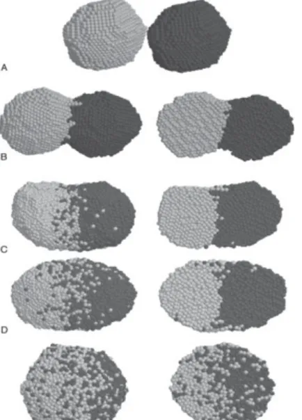 Gambar 5. Hasil XRD katalis Fe/Mo/MgO yang  telah ditumbuhi nanotube karbon 
