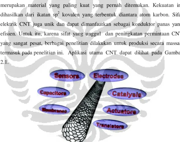 Gambar 2.1 Aplikasi Carbon nanotube (Schnorr et al., 2010) 