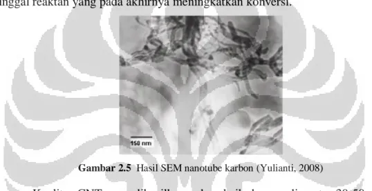 Gambar 2.5  Hasil SEM nanotube karbon (Yulianti, 2008) 