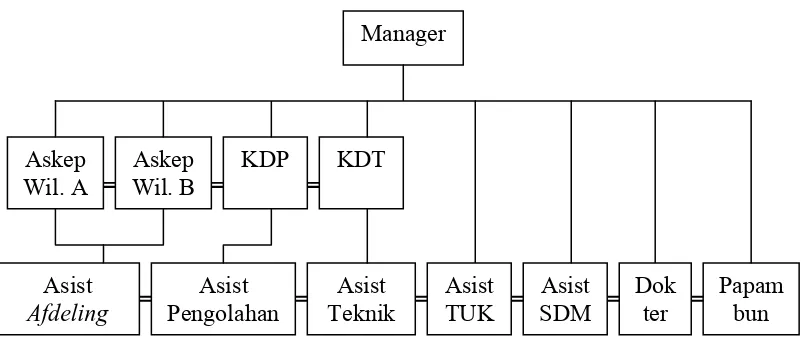 Gambar 2. Struktur Organisasi PTPN VI Kebun Kayu Aro 2009  