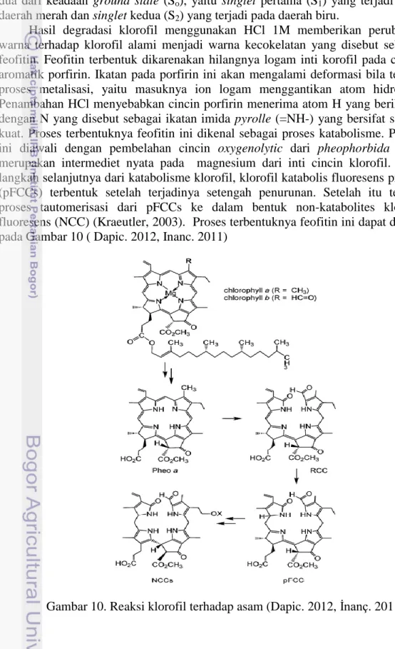 Gambar 10. Reaksi klorofil terhadap asam (Dapic. 2012, İnanç. 2011) 