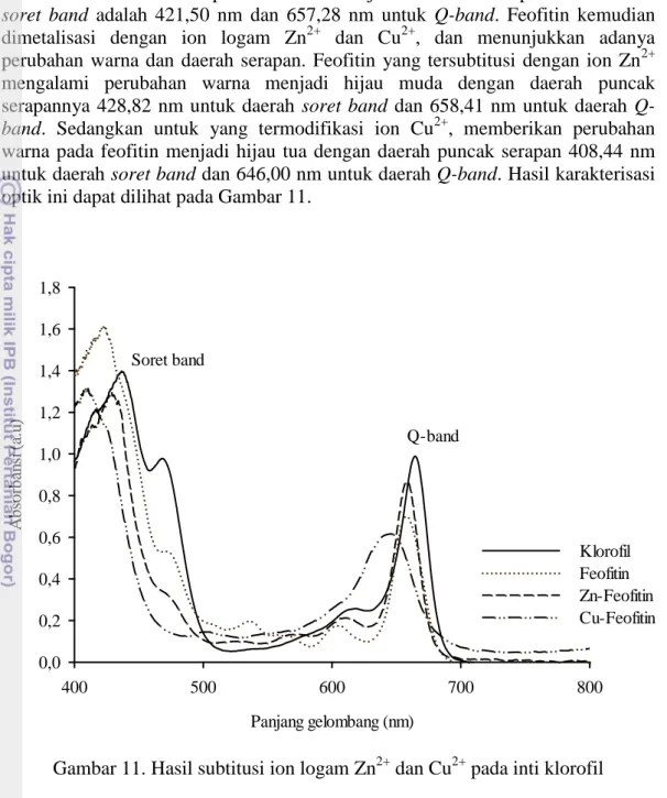 Gambar 11. Hasil subtitusi ion logam Zn 2+  dan Cu 2+  pada inti klorofil  Berdasarkan  pengamatan  pola  spektrum  pada  Gambar  11  tampak  bahwa  penggantian  unsur  logam  pada  inti  klorofil,  menyebabkan  terjadinya  pergeseran  baik  daerah  Soret 