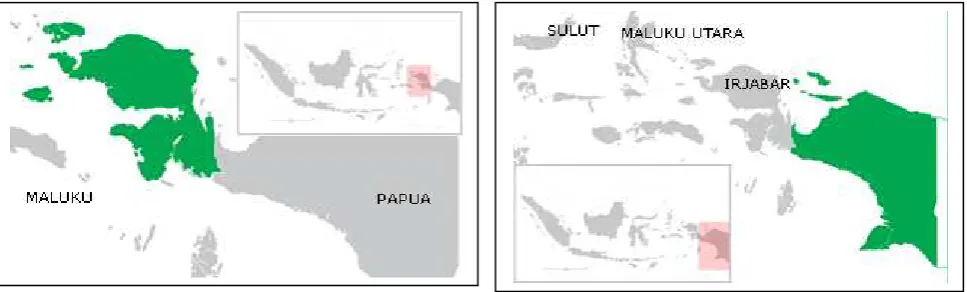 Gambar 3 Pemekaran Papua 