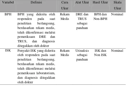 Gambar 3.1. Kerangka Konsep Penelitian 