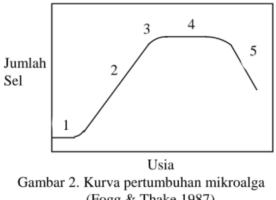 Gambar 1. Sel Spirulina sp.  