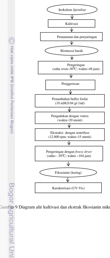 Gambar 9 Diagram alir kultivasi dan ekstrak fikosianin mikroalga S. platensis 