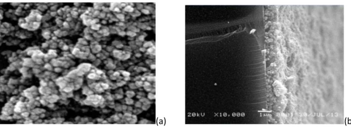 Gambar 2.   Foto bentuk permukaan (a)  dan  ketebalan (b) film TiO 2   (anatase) pada suhu  kalsinasi 800  0 C 