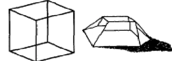 Gambar 3. Kubus yang dipandang sebagai  sebuah permata (Ihde, 1990)  