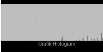 Gambar 11 Grafik Histogram Citra Acuan 