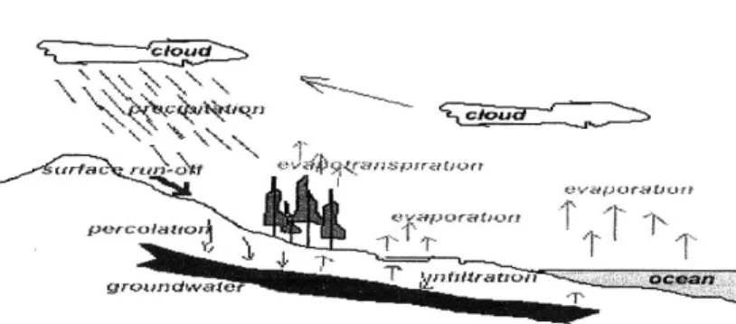 Gambar 2.1. Siklus Hidrologi (hydrologic cycle) 