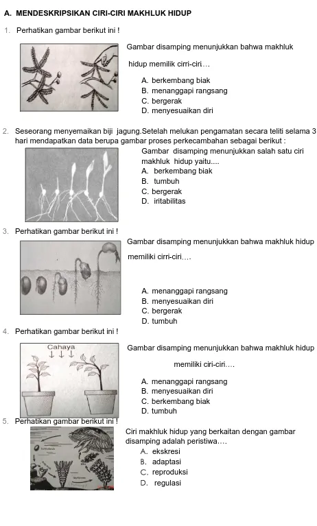 Gambar disamping menunjukkan bahwa makhluk hidup                