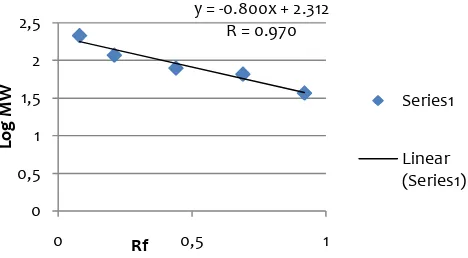 Figure 4. Calibration curve gel 2 deccribing the correlation between Rf and molecular weight 